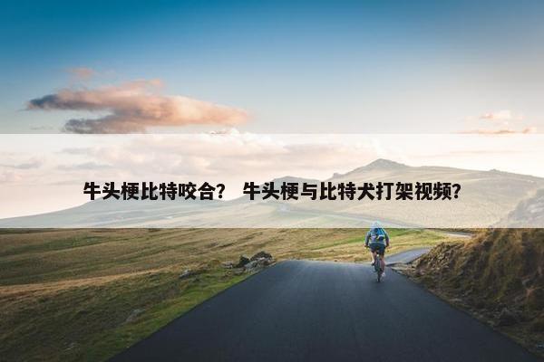 牛头梗比特咬合？ 牛头梗与比特犬打架视频？