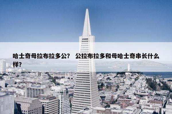 哈士奇母拉布拉多公？ 公拉布拉多和母哈士奇串长什么样？