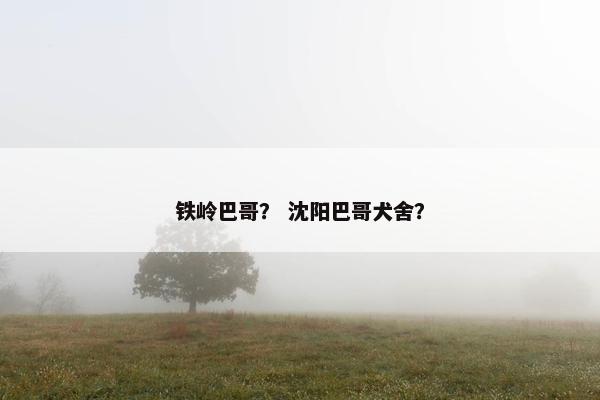 铁岭巴哥？ 沈阳巴哥犬舍？
