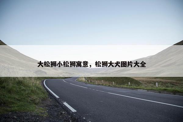 大松狮小松狮寓意，松狮大犬图片大全