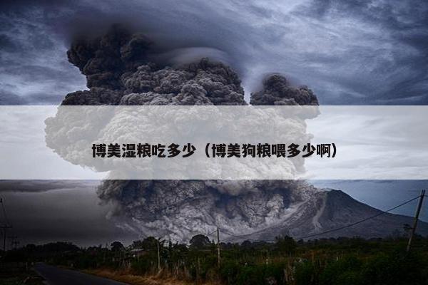 博美湿粮吃多少（博美狗粮喂多少啊）