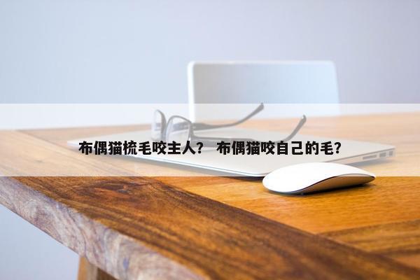 布偶猫梳毛咬主人？ 布偶猫咬自己的毛？