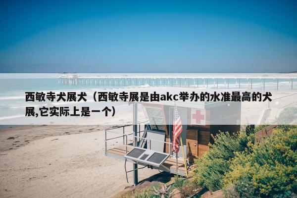 西敏寺犬展犬（西敏寺展是由akc举办的水准最高的犬展,它实际上是一个）