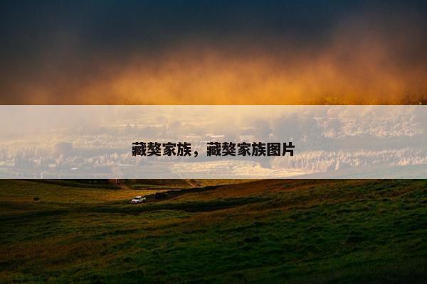 藏獒家族，藏獒家族图片