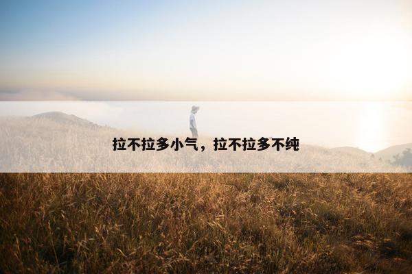 拉不拉多小气，拉不拉多不纯