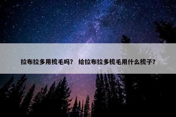 拉布拉多用梳毛吗？ 给拉布拉多梳毛用什么梳子？