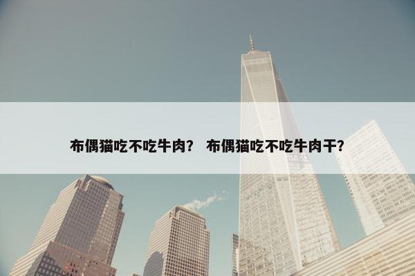 布偶猫吃不吃牛肉？ 布偶猫吃不吃牛肉干？