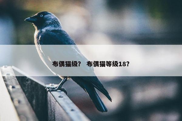 布偶猫级？ 布偶猫等级18？