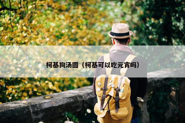 柯基狗汤圆（柯基可以吃元宵吗）