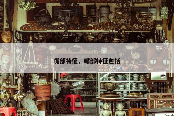 嘴部特征，嘴部特征包括