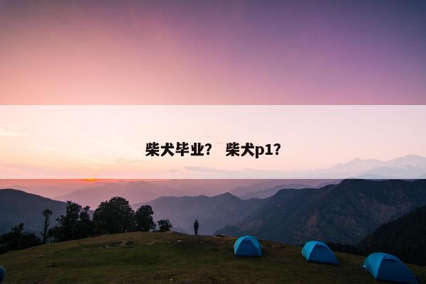 柴犬毕业？ 柴犬p1？