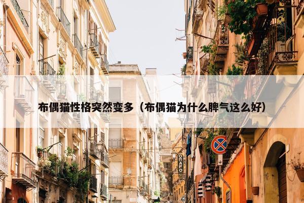 布偶猫性格突然变多（布偶猫为什么脾气这么好）
