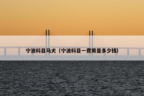 宁波科目马犬（宁波科目一费用是多少钱）