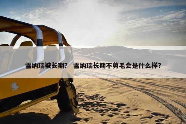 雪纳瑞被长期？ 雪纳瑞长期不剪毛会是什么样？