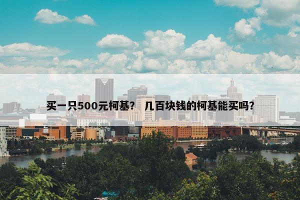 买一只500元柯基？ 几百块钱的柯基能买吗？