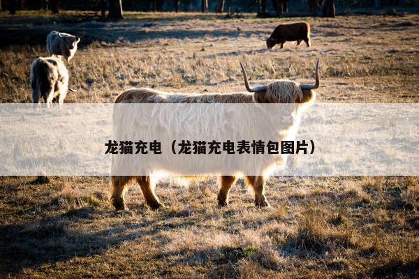 龙猫充电（龙猫充电表情包图片）