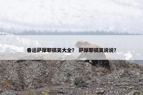 春运萨摩耶搞笑大全？ 萨摩耶搞笑说说？