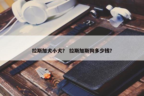 拉斯加犬小犬？ 拉斯加斯狗多少钱？