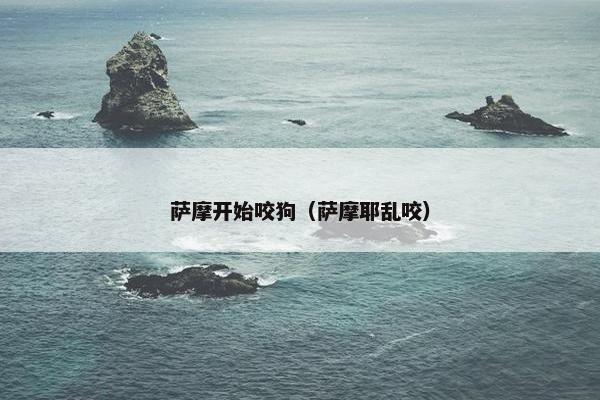 萨摩开始咬狗（萨摩耶乱咬）