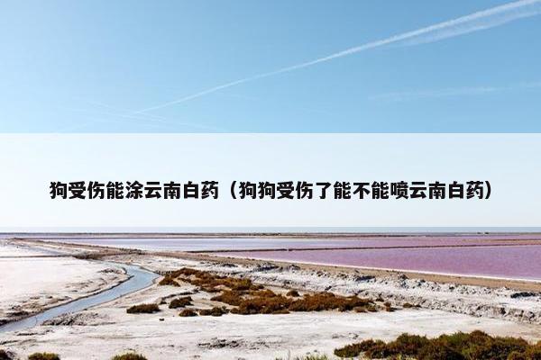 狗受伤能涂云南白药（狗狗受伤了能不能喷云南白药）