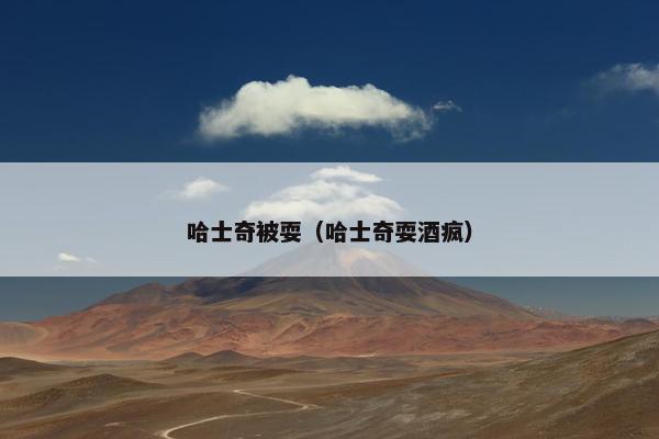 哈士奇被耍（哈士奇耍酒疯）