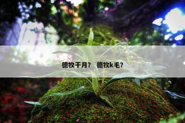 德牧干月？ 德牧k毛？
