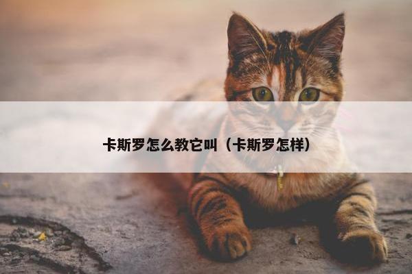 卡斯罗怎么教它叫（卡斯罗怎样）