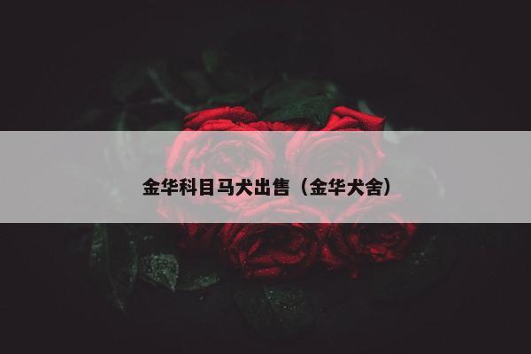 金华科目马犬出售（金华犬舍）