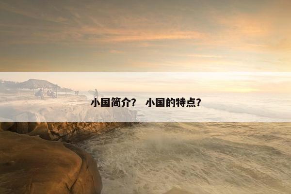 小国简介？ 小国的特点？