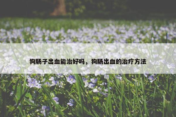 狗肠子出血能治好吗，狗肠出血的治疗方法