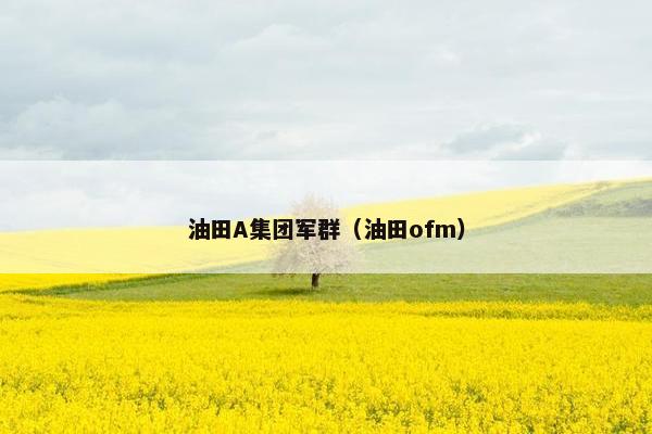 油田A集团军群（油田ofm）