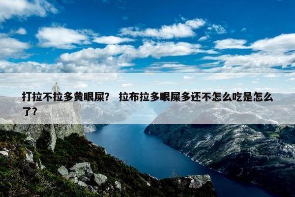 打拉不拉多黄眼屎？ 拉布拉多眼屎多还不怎么吃是怎么了？
