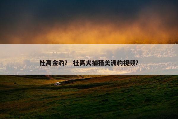 杜高金豹？ 杜高犬捕猎美洲豹视频？