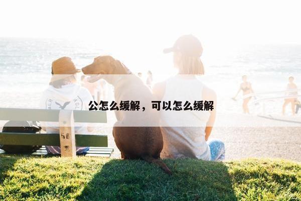 公怎么缓解，可以怎么缓解