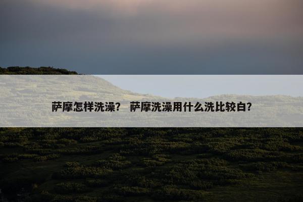 萨摩怎样洗澡？ 萨摩洗澡用什么洗比较白？