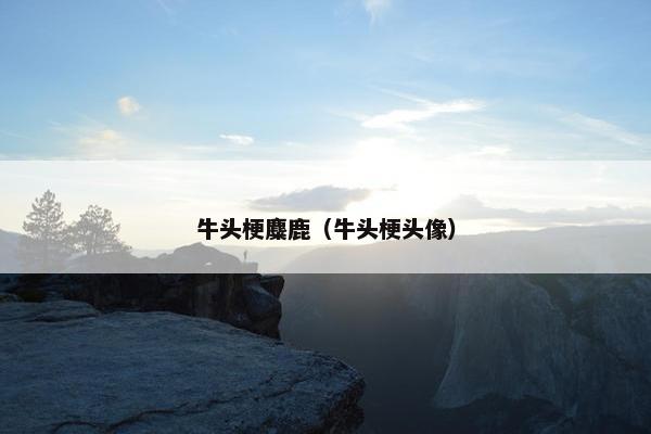 牛头梗麋鹿（牛头梗头像）