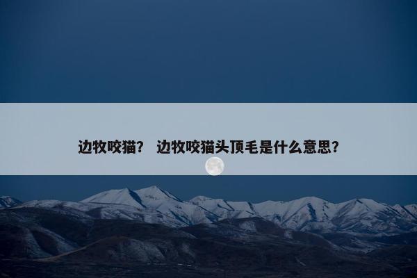 边牧咬猫？ 边牧咬猫头顶毛是什么意思？