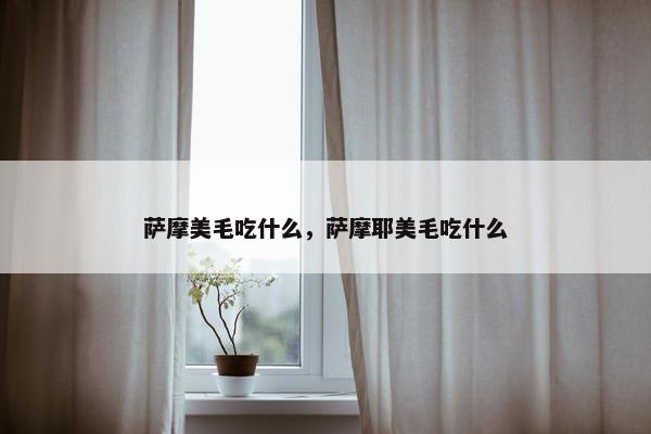萨摩美毛吃什么，萨摩耶美毛吃什么