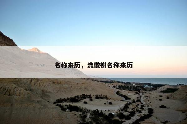 名称来历，流徽榭名称来历