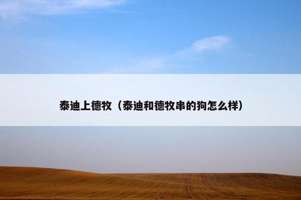 泰迪上德牧（泰迪和德牧串的狗怎么样）