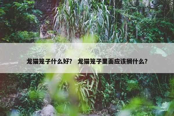 龙猫笼子什么好？ 龙猫笼子里面应该搁什么？