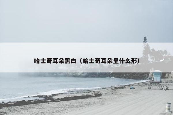 哈士奇耳朵黑白（哈士奇耳朵呈什么形）