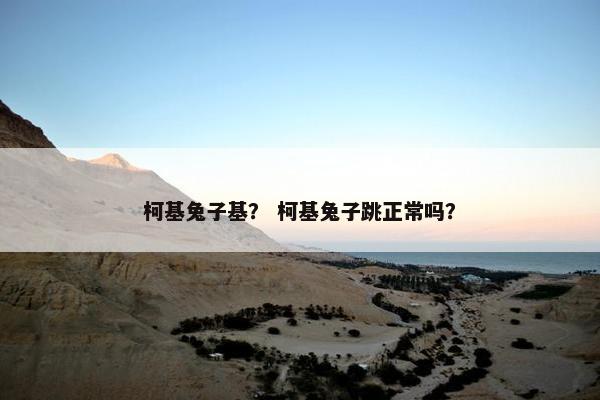柯基兔子基？ 柯基兔子跳正常吗？
