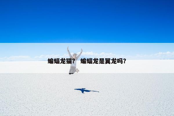 蝙蝠龙猫？ 蝙蝠龙是翼龙吗？