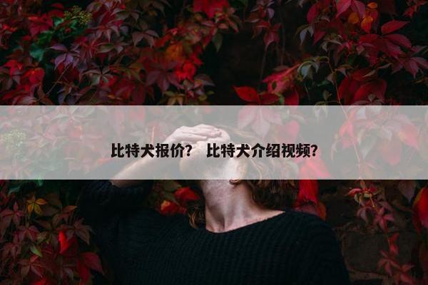 比特犬报价？ 比特犬介绍视频？