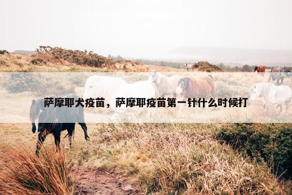 萨摩耶犬疫苗，萨摩耶疫苗第一针什么时候打