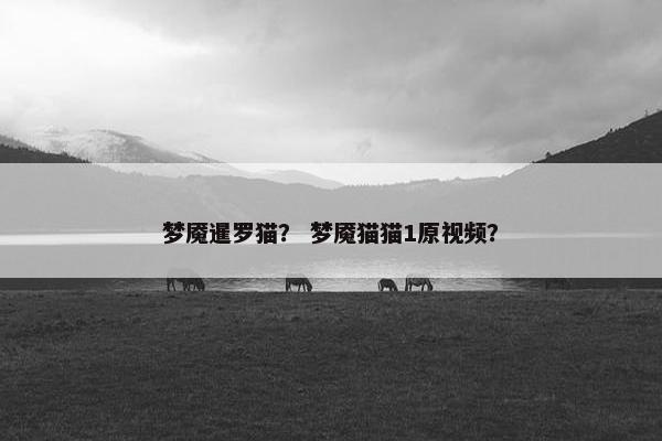 梦魇暹罗猫？ 梦魇猫猫1原视频？