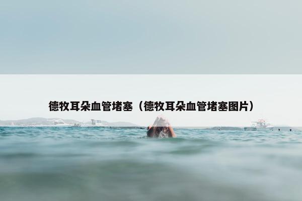 德牧耳朵血管堵塞（德牧耳朵血管堵塞图片）