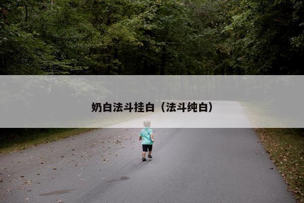 奶白法斗挂白（法斗纯白）
