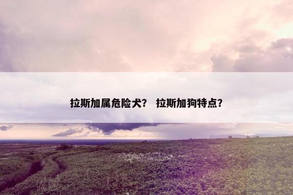 拉斯加属危险犬？ 拉斯加狗特点？